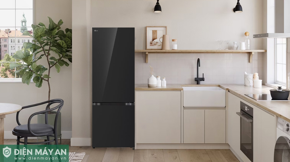 Tủ lạnh LG Inverter 335 lít LBB33BLGA