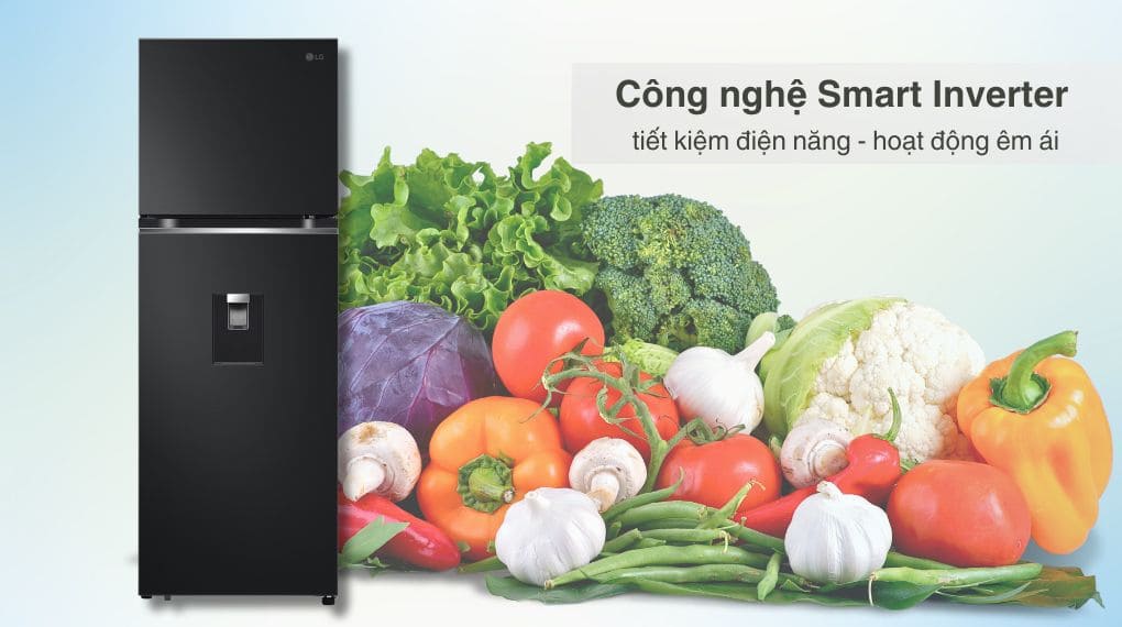 Tủ lạnh LG Inverter 334 lít LTD33BLM