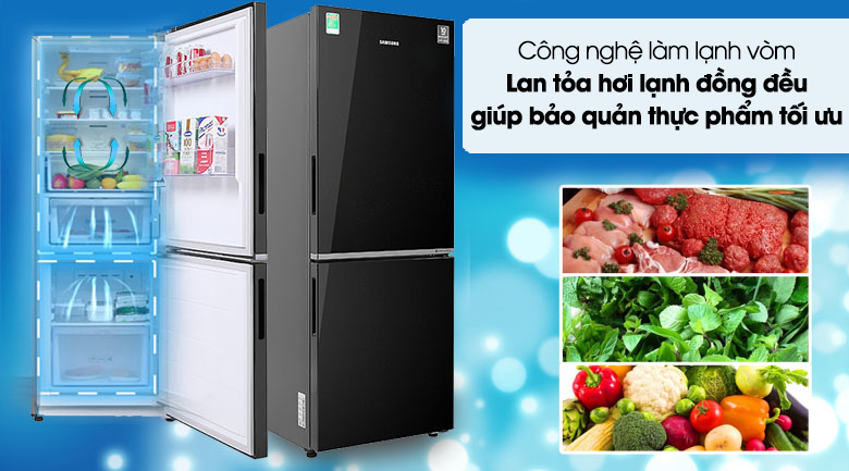 Tủ Lạnh Samsung Inverter 280 Lít RB27N4010BU/SV