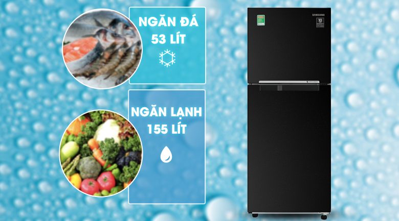 Tủ Lạnh Samsung Inverter 208 Lít RT20HAR8DBU/SV