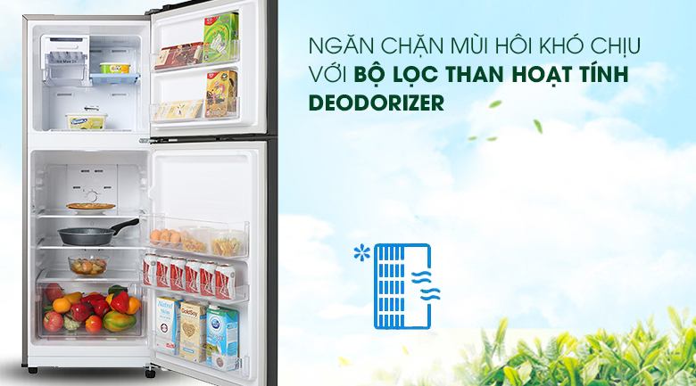 Tủ Lạnh Samsung Inverter 208 Lít RT20HAR8DBU/SV