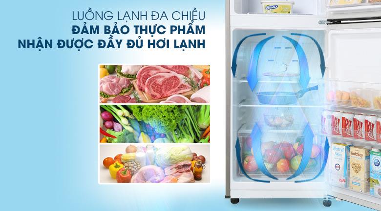 Tủ Lạnh Samsung Inverter 208 Lít RT20HAR8DBU/SV