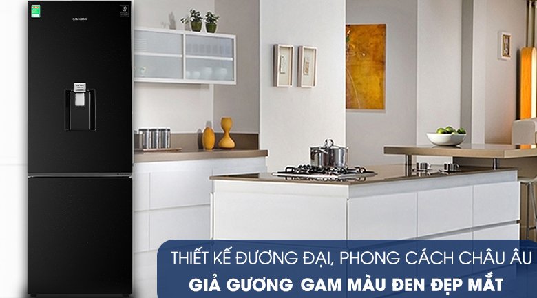Tủ Lạnh Samsung Inverter 307 Lít RB30N4170BU/SV