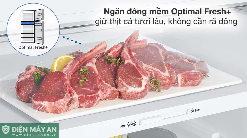Tủ Lạnh Samsung Inverter 406 Lít RT42CG6584S9SV