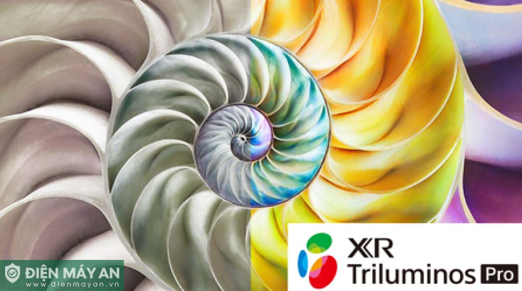 Google Tivi MiniLED Sony 4K 65 Inch XR-65X95L